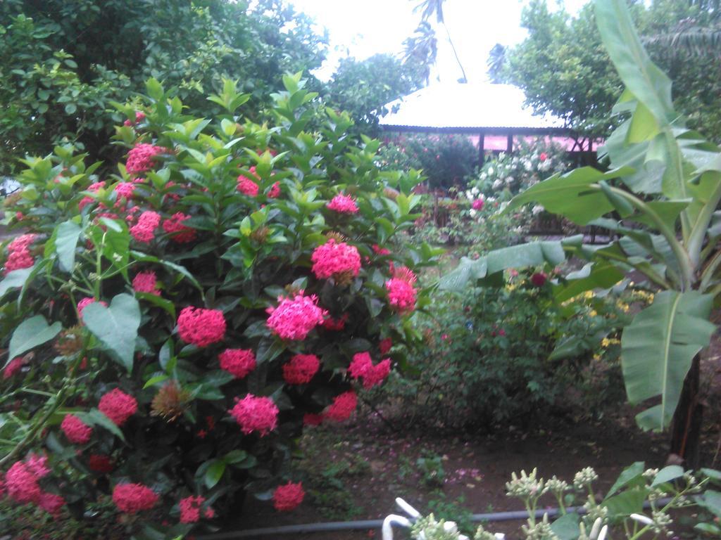 Hostal La Cascada San Ramon Mérida Kültér fotó