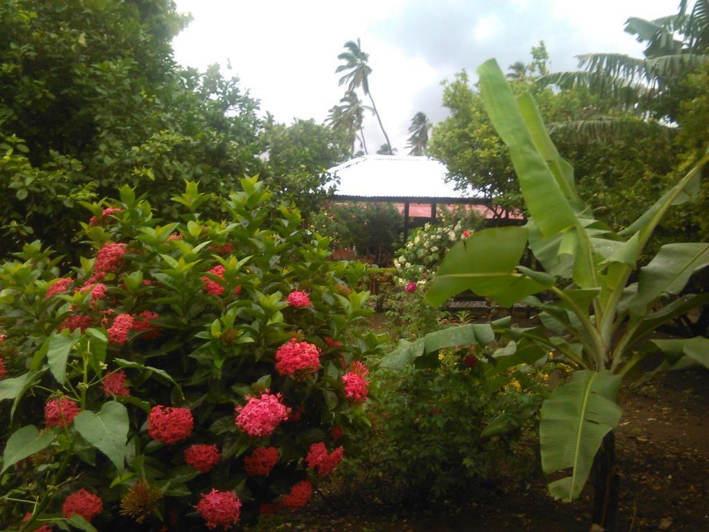 Hostal La Cascada San Ramon Mérida Kültér fotó